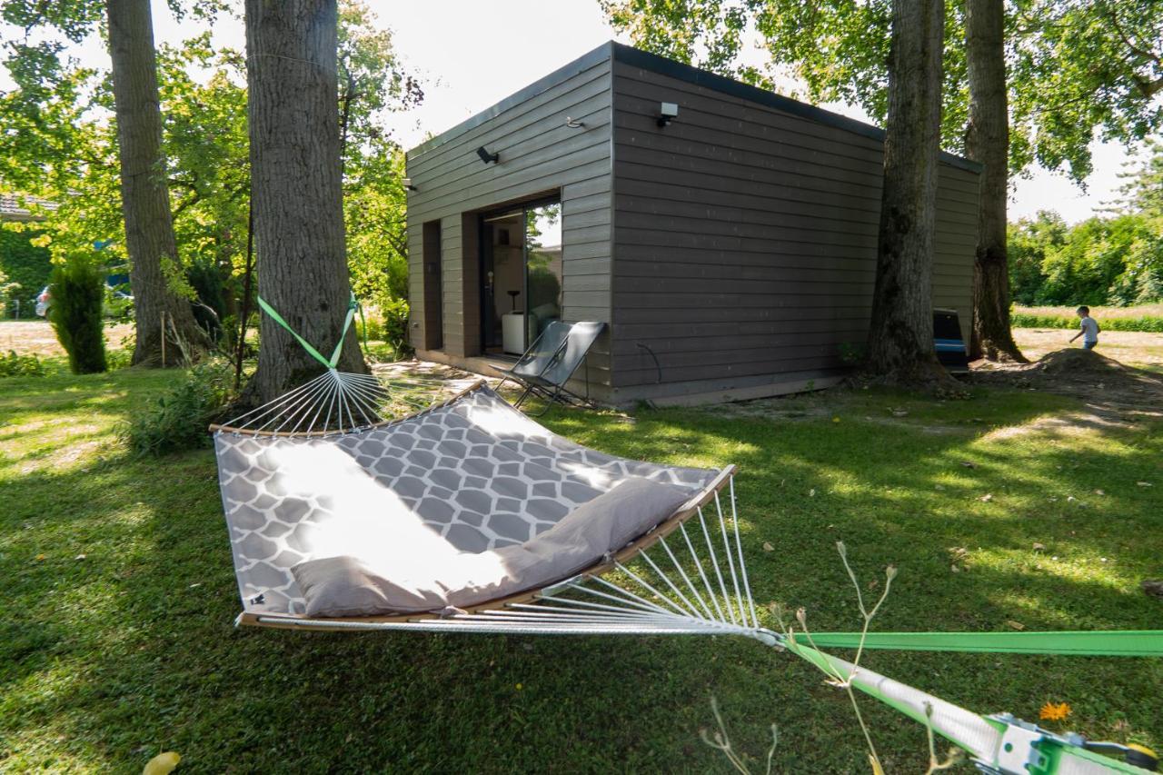 Capsule Nature & Photos - Jacuzzi - Netflix & Home Cinema - Ps5 & Jeu Thun-Saint-Martin 外观 照片